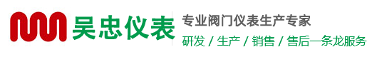 吳忠儀表有限責任公司